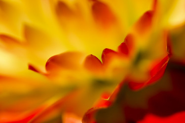 Similar image 8528699