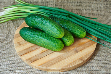 Similar image 8528768