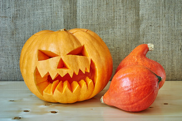 Similar image 8528800