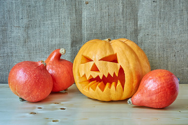 Similar image 8528804