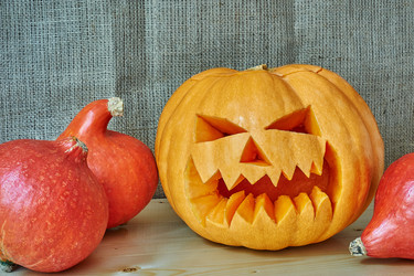 Similar image 8528805