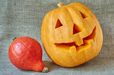 Similar image 8528833