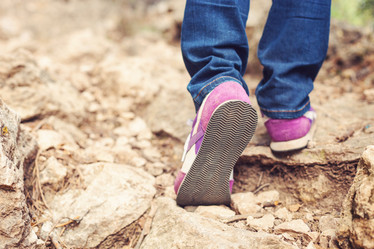 Similar image 8528883