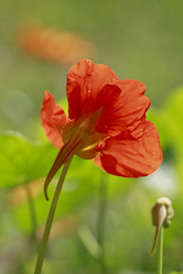 Similar image 8529159