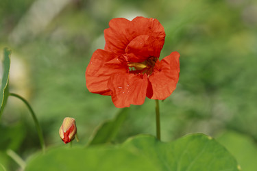 Similar image 8529160