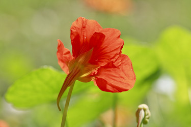 Similar image 8529161