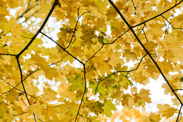 Similar image 8529361