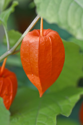 Similar image 8529422