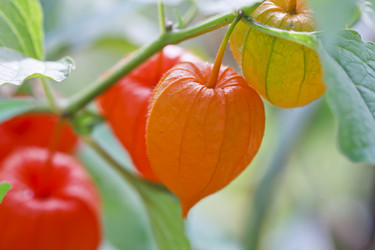 Similar image 8529426