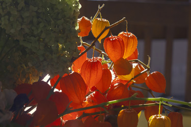 Similar image 8529428