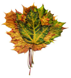 Similar image 8529640