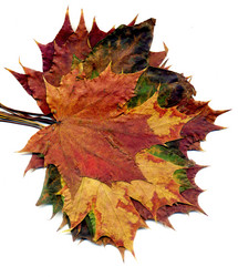 Similar image 8529642