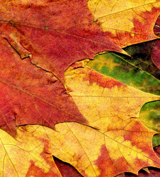 Similar image 8529645