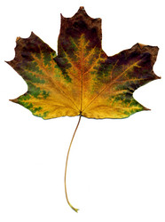 Similar image 8529649