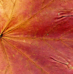 Similar image 8529651