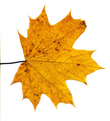 Similar image 8529655