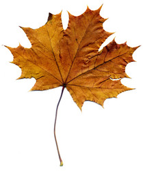 Similar image 8529657