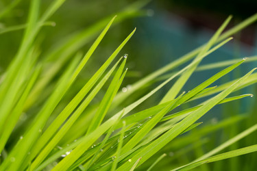 Similar image 8529697