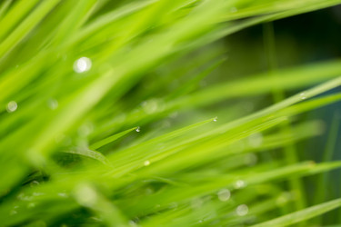 Similar image 8529698