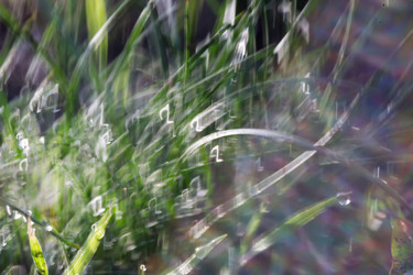 Similar image 8529700