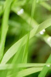 Similar image 8529701