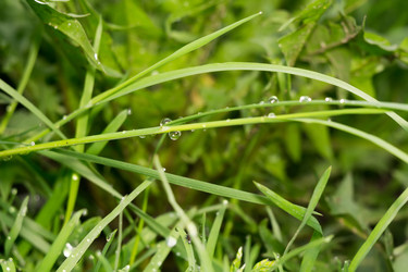 Similar image 8529703