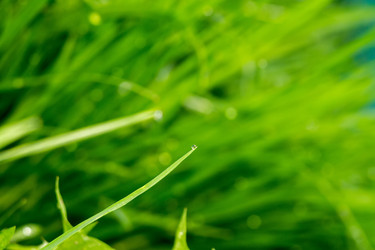 Similar image 8529704