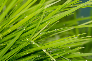 Similar image 8529705