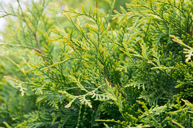 Similar image 8529708