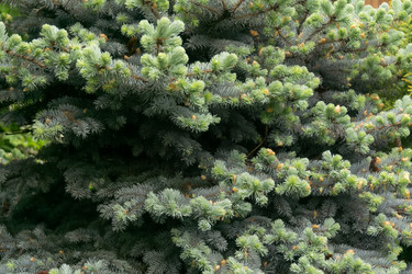 Similar image 8529709