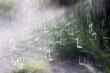 Similar image 8529711