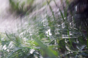 Similar image 8529712