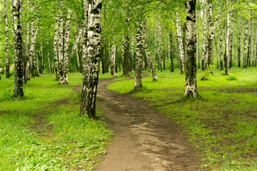 Similar image 8529717