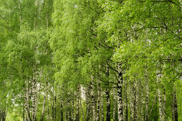 Similar image 8529718