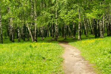 Similar image 8529720