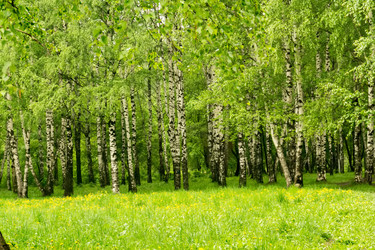 Similar image 8529721