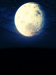 Similar image 8529731