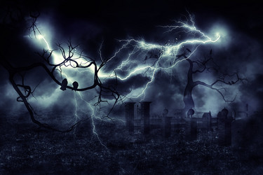 Similar image 8529737