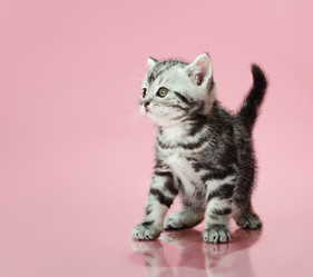 Similar image 8529882