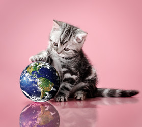 Similar image 8529883