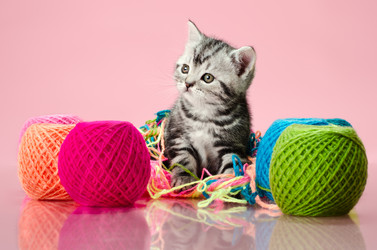 Similar image 8529887