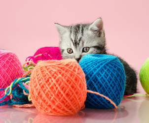 Similar image 8529888