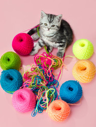 Similar image 8529890