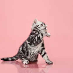 Similar image 8529895