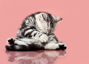 Similar image 8529901