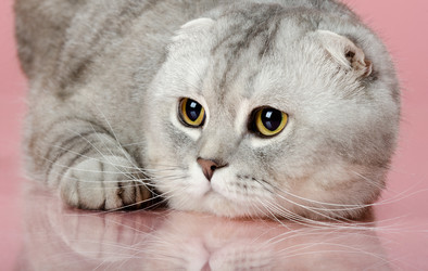 Similar image 8529920