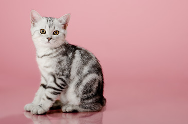 Similar image 8529922