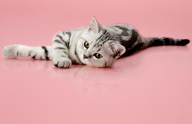 Similar image 8529924