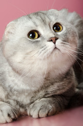 Similar image 8529928