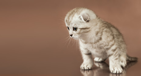 Similar image 8529948